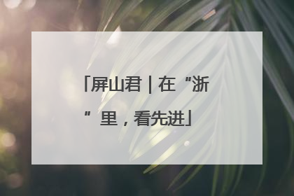 屏山君｜在“浙”里，看先进